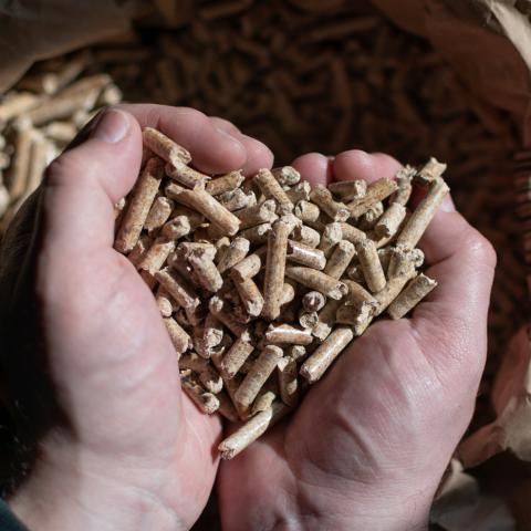 Prix des granulés de bois : les critères pour faire le bon choix